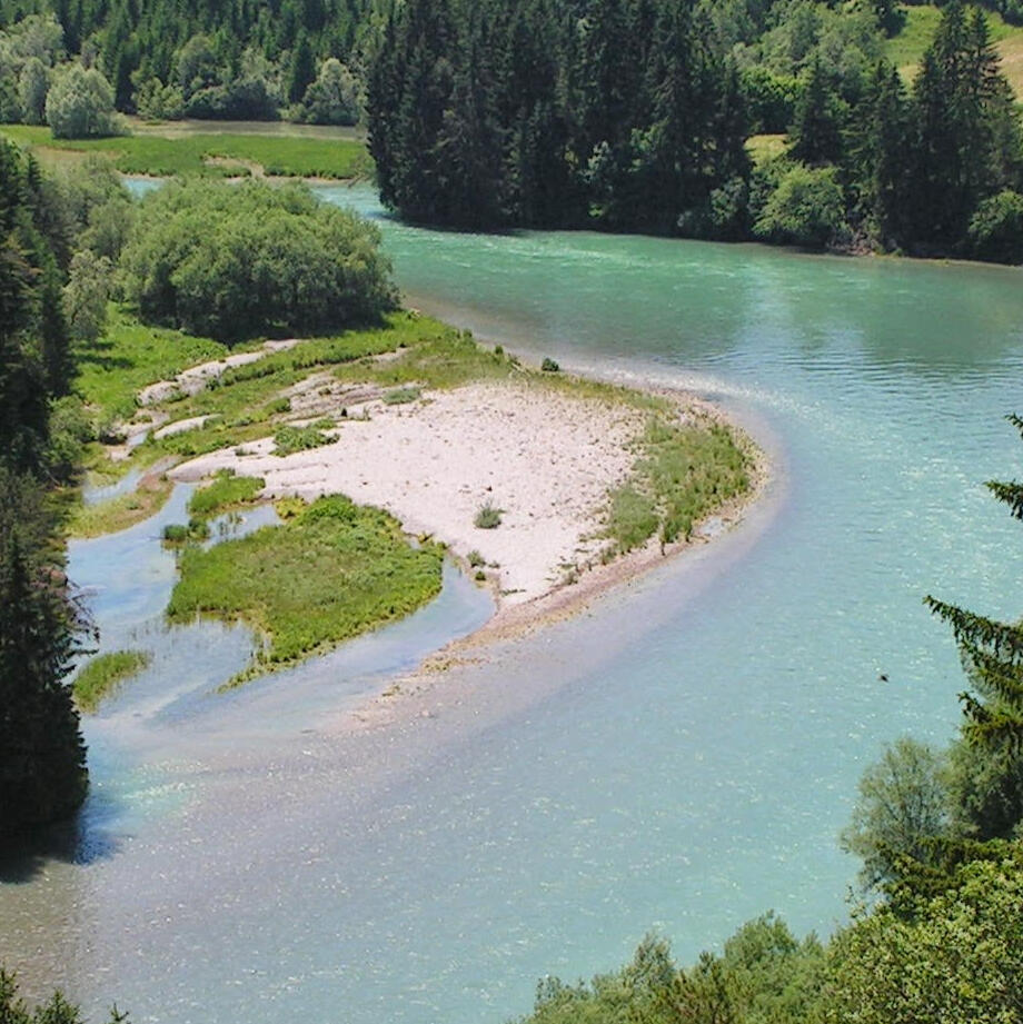 Flußlebensraum Kartierungen